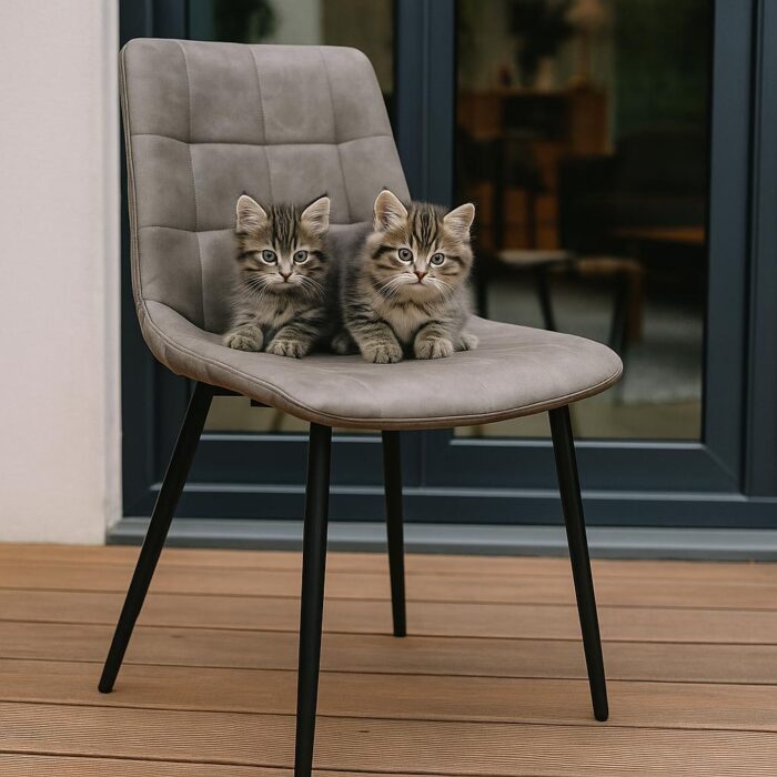 Silla Comedor Mykolaiv - Imagen 2